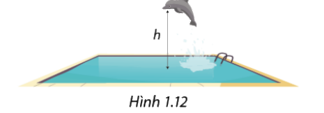 Giải bài 1.43 trang 29 SGK Toán 8 - Cùng khám phá 1