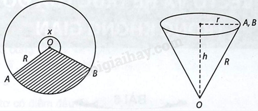Giải bài 1.67 trang 36 sách bài tập toán 12 - Kết nối tri thức 1