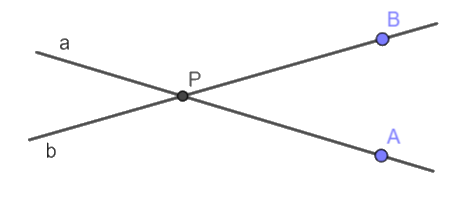 Giải bài 1 (8.1) trang 42 vở thực hành Toán 6 1
