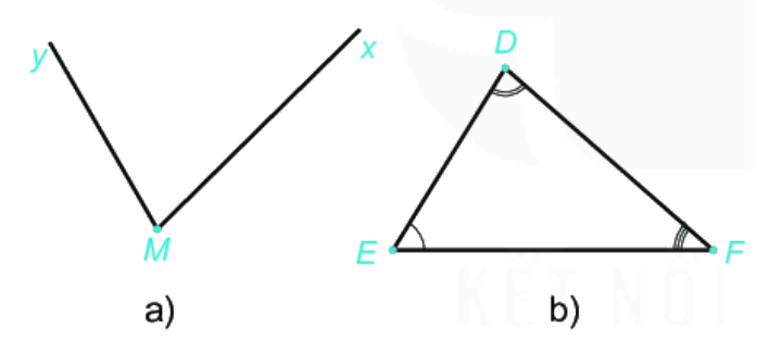 Giải bài 1 (8.25) trang 56 vở thực hành Toán 6 1