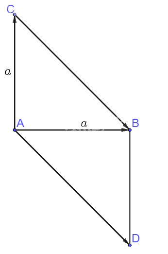 Giải bài 1 trang 100 sách bài tập toán 10 - Chân trời sáng tạo 1