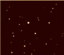 Giải bài 1 trang 102 sách bài tập Toán 6 - Chân trời sáng tạo Tập 2 1