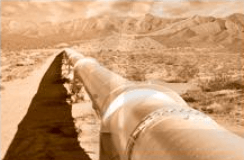 Giải bài 1 trang 102 sách bài tập Toán 6 - Chân trời sáng tạo Tập 2 4