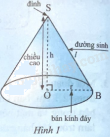 Giải bài 1 trang 102 sách bài tập toán 9 - Chân trời sáng tạo tập 2 3