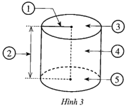 Giải bài 1 trang 124 sách bài tập toán 9 - Cánh diều tập 2 1