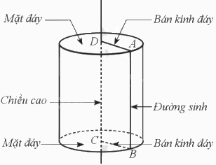 Giải bài 1 trang 124 sách bài tập toán 9 - Cánh diều tập 2 3