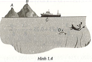 Giải bài 1 trang 22 vở thực hành Toán 7 1
