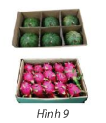 Giải bài 1 trang 24 SGK Toán 10 tập 2 – Chân trời sáng tạo 1