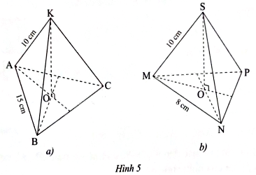 Giải bài 1 trang 40 sách bài tập toán 8 - Chân trời sáng tạo 1