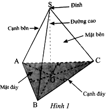 Giải bài 1 trang 40 sách bài tập toán 8 - Chân trời sáng tạo 3