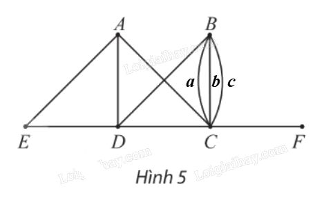 Giải bài 1 trang 44, 45, 46 Chuyên đề học tập Toán 11 Chân trời sáng tạo 3