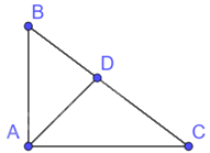 Giải bài 1 trang 48 sách bài tập toán 8 - Chân trời sáng tạo tập 2 2