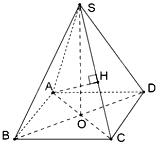 Giải bài 1 trang 55 sách bài tập toán 11 - Chân trời sáng tạo tập 2 2