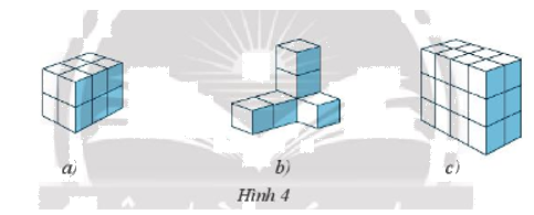 Giải Bài 1 trang 56 sách bài tập toán 7 tập 1 - Chân trời sáng tạo 1
