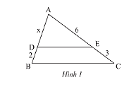 Giải bài 1 trang 58 SGK Toán 8 tập 2– Chân trời sáng tạo 1