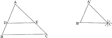 Giải bài 1 trang 59 sách bài tập toán 8 - Chân trời sáng tạo tập 2 2