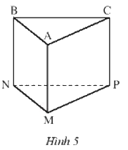 Giải Bài 1 trang 60 sách bài tập toán 7 tập 1 - Chân trời sáng tạo 1