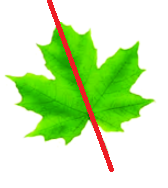 Giải bài 1 trang 61 SGK Toán 6 Chân trời sáng tạo Tập 2 3