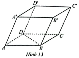 Giải bài 1 trang 62 sách bài tập toán 12 - Chân trời sáng tạo 1