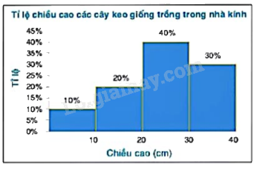Giải bài 1 trang 63 vở thực hành Toán 9 tập 2 1