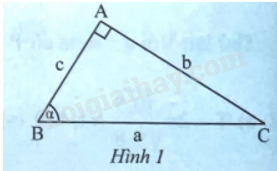Giải bài 1 trang 68 sách bài tập toán 9 - Chân trời sáng tạo tập 1 2