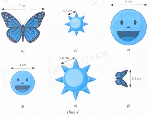 Giải bài 1 trang 71 sách bài tập toán 8 - Chân trời sáng tạo tập 2 1