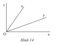 Giải bài 1 trang 72 SGK Toán 7 tập 1 - Chân trời sáng tạo 1