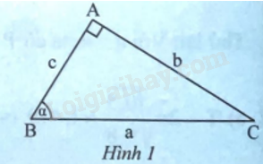 Giải bài 1 trang 73 sách bài tập toán 9 - Chân trời sáng tạo tập 1 2