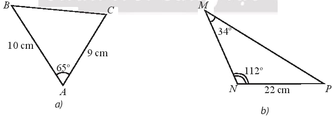 Giải bài 1 trang 74 sách bài tập toán 10 - Chân trời sáng tạo 1