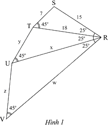Giải bài 1 trang 74 sách bài tập toán 8 - Chân trời sáng tạo tập 2 1