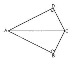 Giải bài 1 trang 75 Sách bài tập Toán 6 – Chân trời sáng tạo 3