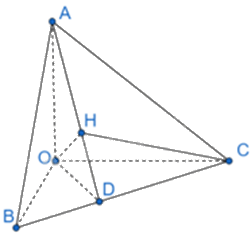 Giải bài 1 trang 76 sách bài tập toán 11 - Chân trời sáng tạo tập 2 2