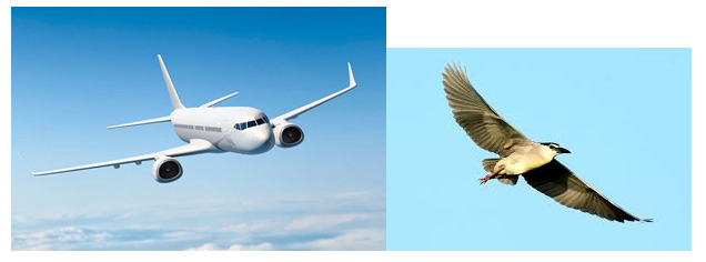 Giải bài 1 trang 76 sách bài tập Toán 6 - Chân trời sáng tạo Tập 2 2