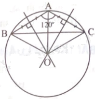 Giải bài 1 trang 79 sách bài tập toán 9 - Chân trời sáng tạo tập 2 2