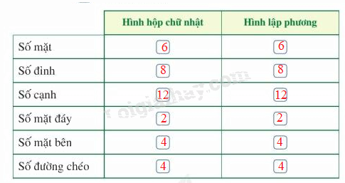 Giải bài 1 trang 80 SGK Toán 7 tập 1 - Cánh diều 3