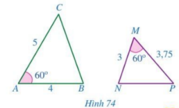 Giải bài 1 trang 81 SGK Toán 8 – Cánh diều 1