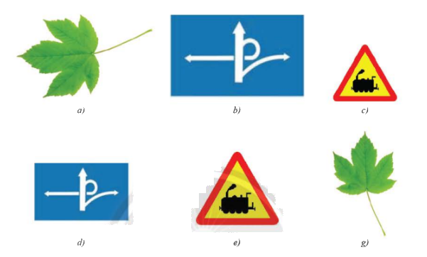 Giải bài 1 trang 82 SGK Toán 8 tập 2– Chân trời sáng tạo 1