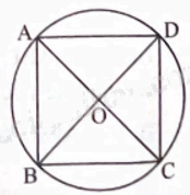 Giải bài 1 trang 84 sách bài tập toán 9 - Chân trời sáng tạo tập 1 2