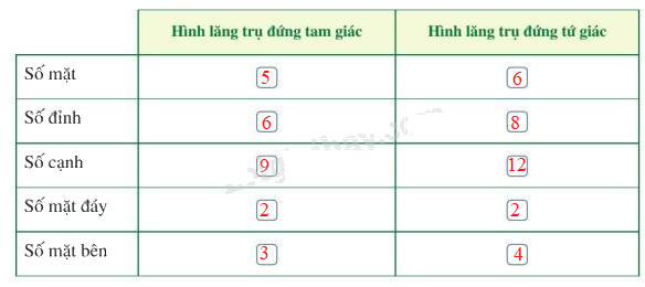 Giải bài 1 trang 85 SGK Toán 7 tập 1 - Cánh diều 3