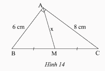 Giải bài 1 trang 87 SGK Toán 8 tập 1– Chân trời sáng tạo 1