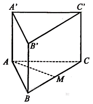 Giải bài 1 trang 88 sách bài tập toán 11 - Cánh diều 1
