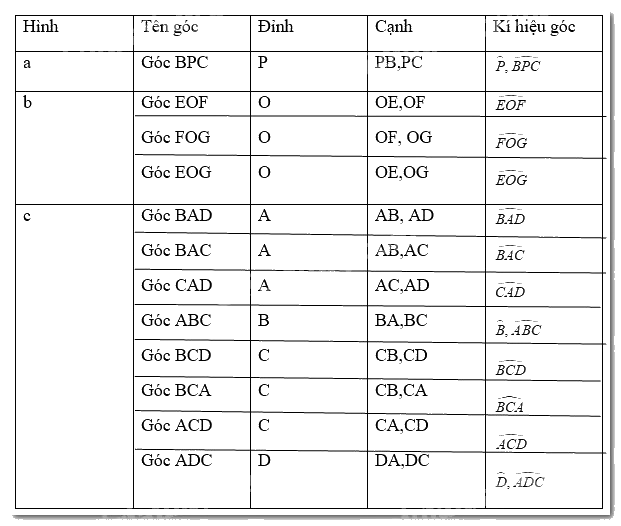 Giải bài 1 trang 88 SGK Toán 6 Chân trời sáng tạo 4