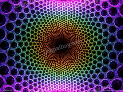 Giải bài 1 trang 93 SGK Toán 8 – Cánh diều 5