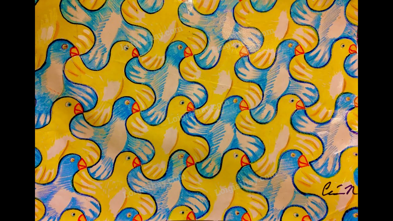 Giải bài 1 trang 93 SGK Toán 8 – Cánh diều 6