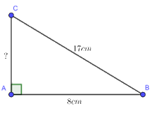 Giải bài 1 trang 96 SGK Toán 8 tập 1 - Cánh diều 2