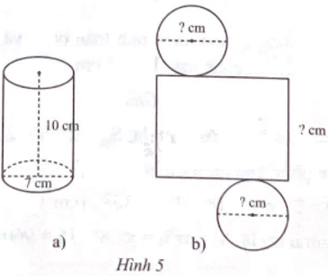 Giải bài 1 trang 98 sách bài tập toán 9 - Chân trời sáng tạo tập 2 1