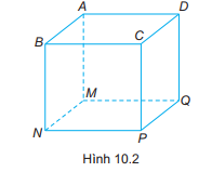 Giải Bài 10.1 trang 63 sách bài tập toán 7 - Kết nối tri thức với cuộc sống 1