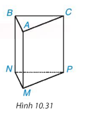 Giải bài 10.11 trang 98 SGK Toán 7 tập 2 - Kết nối tri thức 1