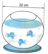 Giải bài 10.16 trang 70 sách bài tập toán 9 - Kết nối tri thức tập 2 1