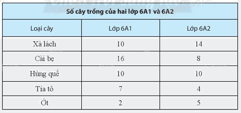 Giải bài 10 trang 105 sách bài tập Toán 6 – Chân trời sáng tạo 1